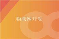 軟件開發應該以技術為本，服務取勝